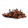 Aara Red Chili Whole (Extra-Hot) - 3.5 oz