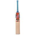 BDM SIXES English Willow Junior cricket bat