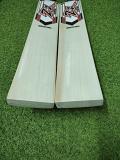 ZX Sports BRONZE English Willow bat 2024 - FREE KNOCKING