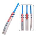 GRAY NICOLLS COBRA GN5.5 English Willow bat (2024)