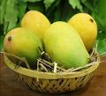 Chinna Rasalu Mangoes (Fresh, Juicy & Tasty)