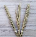 Dharba Grass With Pavitra Loop x 3
