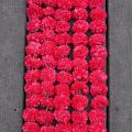 5 PC - 4.5 feet dark pink Marigold Garland for Party Decoration 5 PC - 4.5 feet dark pink Marigold Garland for Party Decoration