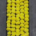 5 PC - 4.5 feet Light Yellow Marigold Garland for wedding/party decoration 5 PC - 4.5 feet Light Yellow Marigold Garland for wedding/party decoration