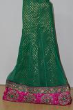 Green Net Lehanga w/ Blouse & Stole Green Net Lehanga w/ Blouse & Stole