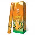 Flute Brand Hexa - Champa - 20 Sticks/Hexa Pack - 6 Packs/Box