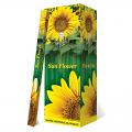 Flute Brand Square -Sun Flower-8 Sticks/Pack -25 Packs/Box - 200 Sticks/Box