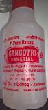 Ganga Jal Holy Ganges Water Gangotri 100Ml Puja Hindu Ganga Jal Holy Ganges Water Gangotri 100Ml Puja Hindu