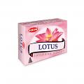 Hem Cone Forest Lotus (Pack of 12) Hem Cone Forest Lotus (Pack of 12)