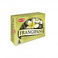 Hem Cone Fragipani (Pack of 12) Hem Cone Fragipani (Pack of 12)