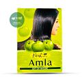 Hesh - Amla Powder Hesh - Amla Powder