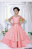 Gorgeous Pink Gown for Young Girls Gorgeous Pink Gown for Young Girls