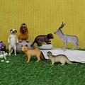 Animal World Set-6 Pcs Animal World Set-6 Pcs