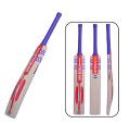 GRAY NICOLLS MEGAPOWER English Willow bat (2024)