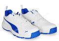 PUMA CLASSICAT CRICKET SHOES (WHITE/TEAM ROYAL/SILVER)