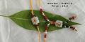 Rakhi-03