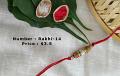 Rakhi-14