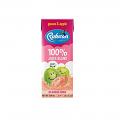 Rubicon Guava & Apple Drink NSA (No Sugar) 200 ml