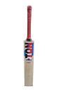 SS Ton Maximus Kashmir Willow Leather Ball Cricket Bat Adult Size -