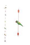 Trendy Banarasi Parrot Door Thoran