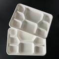 Eco Friendly 8 Compartment Bagasse Disposable Plates 25 Pcs Pack