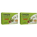 Pack Of 2 - Girnar Instant Cardamom Chai Milk Tea Reduced Sugar - 120 Gm (4.2 Oz)