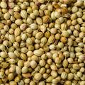 Swadesi Coriander Seeds 200gm