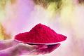 Holi Color Maroon Holi Color Maroon
