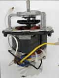 Blue Leaf Motor
