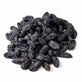 Black raisin -India 14 Oz