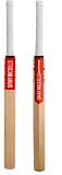 Gray Nicolls TECHNIQUE 55 TRAINING BAT Gray Nicolls TECHNIQUE 55 TRAINING BAT