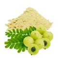 Tathastu Amla Powder 100gm Tathastu Amla Powder 100gm