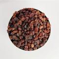 Red Raisin-Afghani 14 Oz