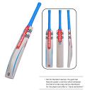 GRAY NICOLLS COLOSSUS English Willow bat (2025) GRAY NICOLLS COLOSSUS English Willow bat (2025)