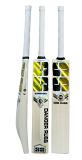 SS JUMBO DRES RUSS KASHMIR WILLOW CRICKET BAT (2025)