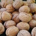 Walnuts 28 Oz Walnuts 28 Oz