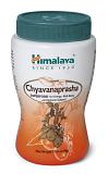 Himalaya Chyavanprasha 500gm Himalaya Chyavanprasha 500gm