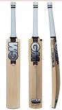 GM ICON SUPERSTAR Kashmir Willow Cricket bat (2025)