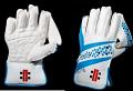 GRAY NICOLLS ELITE CRICKET Wicket Keeping Gloves GRAY NICOLLS ELITE CRICKET Wicket Keeping Gloves