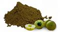 Gooseberry Powder - (Amla Powder) - 100G - Kaniya
