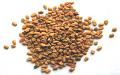 Fenugreek / Methi Seeds 7oz Fenugreek / Methi Seeds 7oz