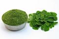 360 Health Foods Moringa Leaf Powder 