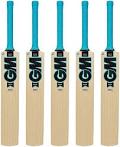 GM Neon Kashmir Willow Cricket bat Junior -BOYS SIZE 3,5