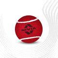 Nivia Brand Heavy Hard Tennis Balls for Cricket (6 Red Balls) Nivia Brand Heavy Hard Tennis Balls for Cricket (6 Red Balls)