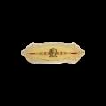 Rakhi - Naag Trishul Shivling (Case Pack) 1 pc DP2510