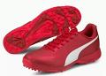 Puma X One8 Virat Kohli FH Rubber Cricket Shoes RED - US-7, US 8,US9