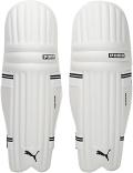 PUMA FUTURE Ultra lite Batting Pads (PUMA BLACK - PUMA WHITE)