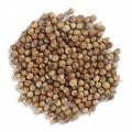Swarna Coriander Seeds 200g (7 oz)
