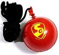 SG HANGING CRICKET BALL WITH STRING