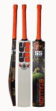 SS STALLION JADEJA English Willow Cricket Bat 